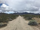 photo thumbnail #4