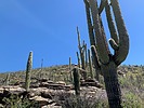 photo thumbnail #14