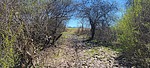 photo thumbnail #5