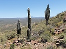 photo thumbnail #14