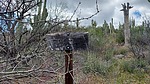 photo thumbnail #11