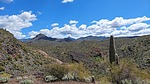 photo thumbnail #6