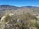 photo thumbnail #11