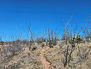 photo thumbnail #5