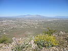 photo thumbnail #7