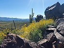 photo thumbnail #15