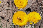 photo thumbnail #11