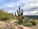 photo thumbnail #5