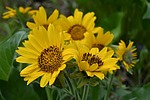 photo thumbnail #13