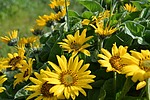 photo thumbnail #3