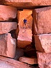 photo thumbnail #3