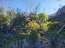 photo thumbnail #7
