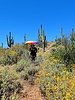 photo thumbnail #9