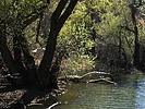 photo thumbnail #12
