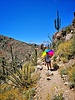 photo thumbnail #2