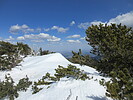 photo thumbnail #11
