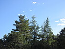 photo thumbnail #15
