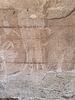 photo thumbnail #15