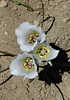 photo thumbnail #14
