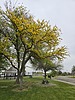 photo thumbnail #4