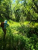 photo thumbnail #10