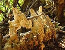 photo thumbnail #12