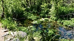 photo thumbnail #14