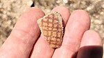 photo thumbnail #9