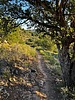 photo thumbnail #12