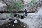 photo thumbnail #5