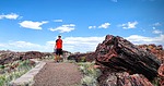photo thumbnail #13