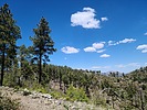 photo thumbnail #8
