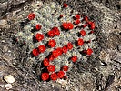 photo thumbnail #8