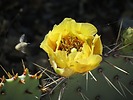 photo thumbnail #2