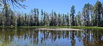 photo thumbnail #10