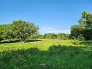 photo thumbnail #13