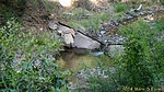 photo thumbnail #6