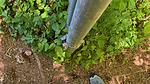 photo thumbnail #12