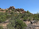 photo thumbnail #5