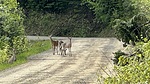 photo thumbnail #3