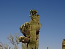 photo thumbnail #7