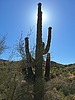 photo thumbnail #5