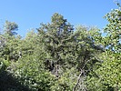 photo thumbnail #11