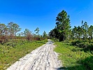 photo thumbnail #15