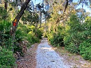 photo thumbnail #4