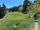 photo thumbnail #8