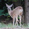 photo thumbnail #7