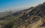 photo thumbnail #1
