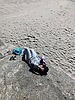 photo thumbnail #15