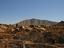 photo thumbnail #15